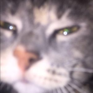 Meet your Posher, Celine